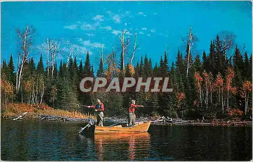 Cartes postales First Cast of The Day