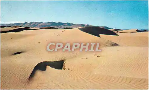 Cartes postales Sand Dunes