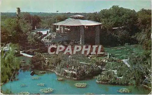 Cartes postales Texas Brackenridge Park San Antonio