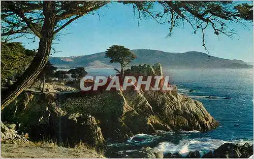 Cartes postales California Monterey Peninsula