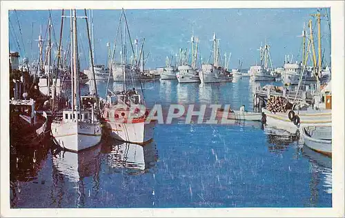 Cartes postales California Monterey Bay Bateaux
