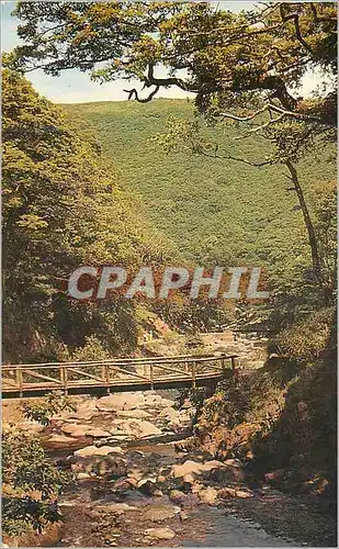 Cartes postales The Watersmeet Valley