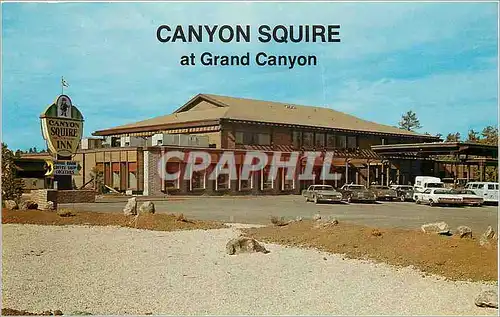 Cartes postales moderne Canyon Squire at Grand Canyon