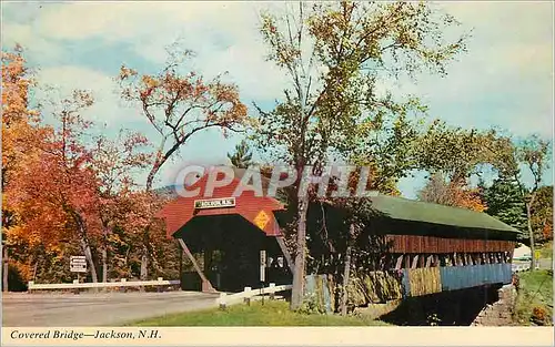 Cartes postales moderne Covered Bridge Jackson