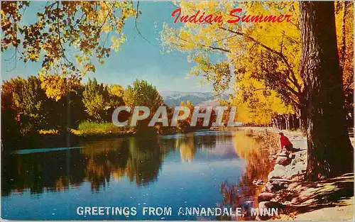 Cartes postales moderne Greetings from Annandale Minn