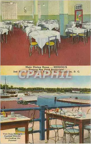 Cartes postales moderne Herzog's Main Dining Room Restaurant Washington