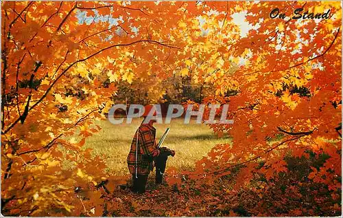 Cartes postales moderne On Stand Chasse
