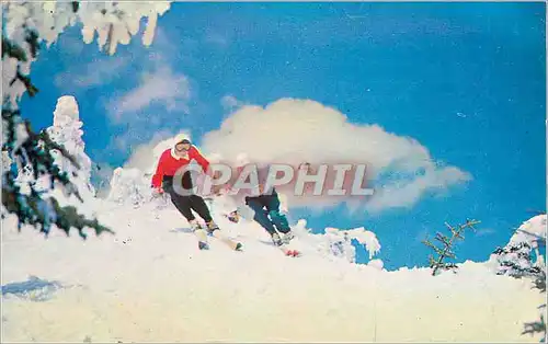 Cartes postales moderne A Fast Turn Ski