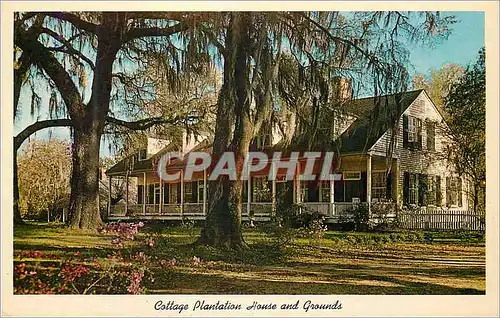 Cartes postales moderne Cottage Plantation House and Grounds