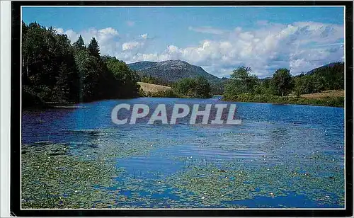 Cartes postales moderne Long Pond Seal Harbor Maine