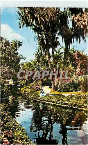 Cartes postales moderne Orlando