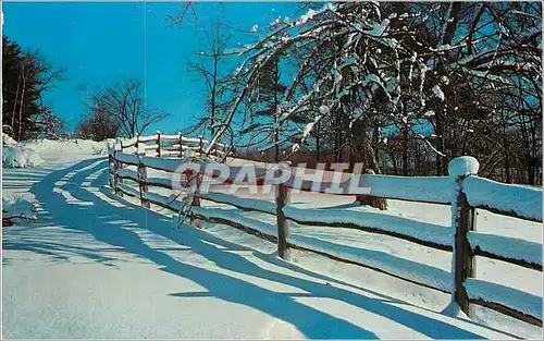 Cartes postales moderne Shadows in the Snow