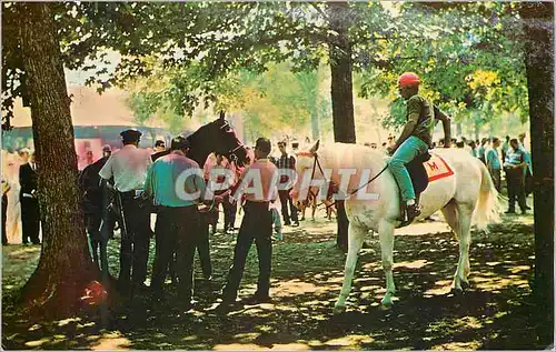 Ansichtskarte AK Saratoga Cheval Hippisme