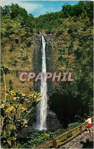 Cartes postales moderne Akaka Falls