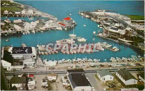 Cartes postales moderne New Jersey Cape Island Marina
