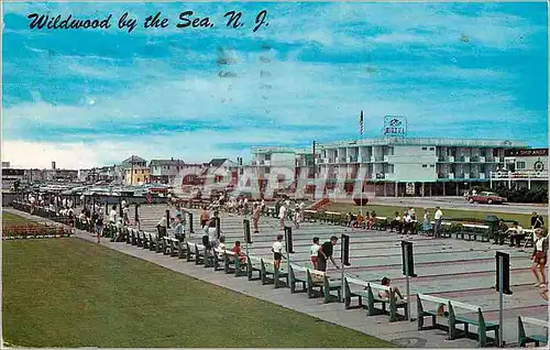 Cartes postales moderne Wildwood by the Sea N J Shuffleboard Courts