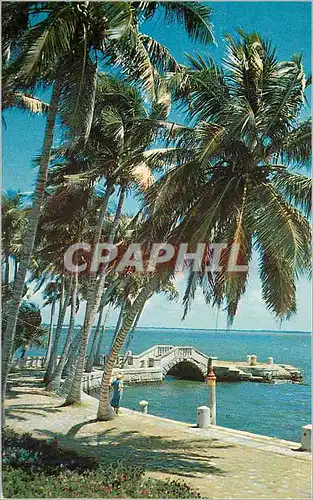 Cartes postales moderne Waterfront Viscaya Miami Florida