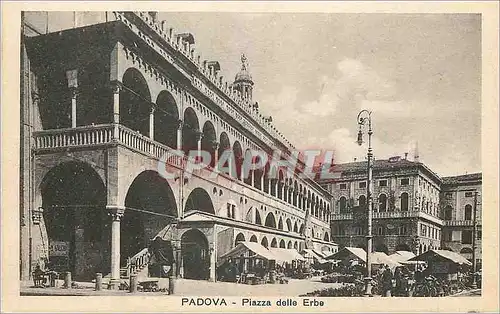 Cartes postales Padova Piazza delle Erbe