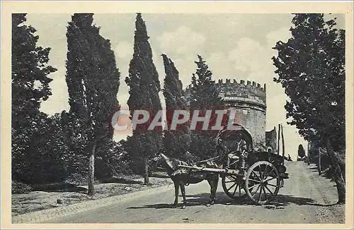 Cartes postales Roma Tomba di Cecilia Metella Attelage Cheval