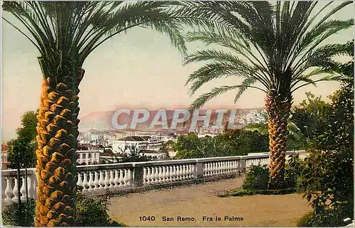 Cartes postales San Remo Fra le Palme