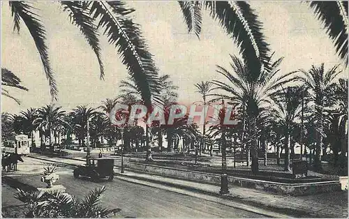 Cartes postales San Remo Giardini Pubblici Tramway