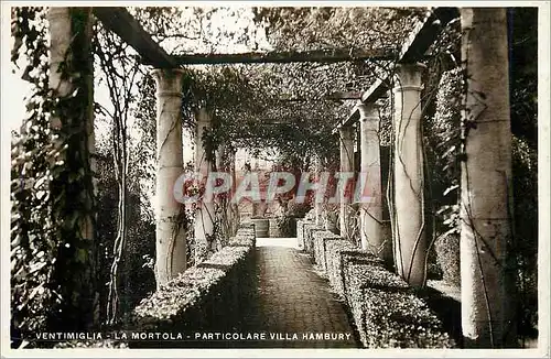Cartes postales Ventimiglia La Mortola Particolare Villa Hambury