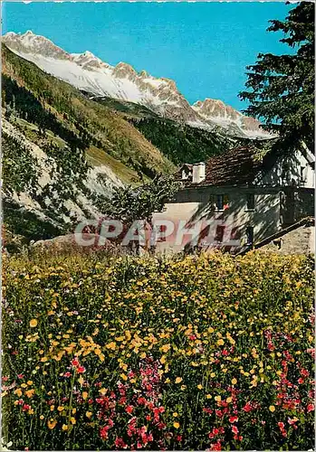 Cartes postales moderne Chalet montagne