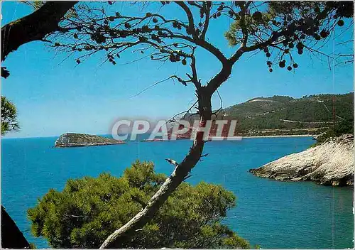 Cartes postales moderne Gargano Vieste