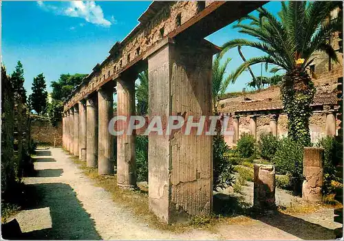 Cartes postales moderne Ercolano Maison d'Argo (Peristylo)