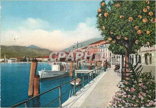 Cartes postales moderne Lago di Garda Salo