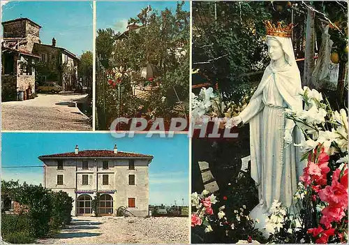 Cartes postales moderne S Damiano di S Giorgio Vierge des Roses