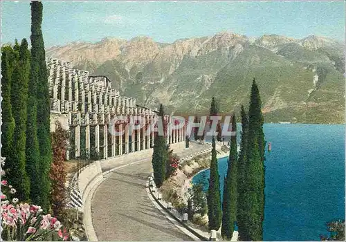 Cartes postales moderne Garda Lago di Garda Limonaie e Monte Baldo