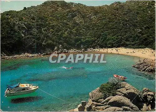 Cartes postales moderne La Maddalena Cala Brigantina