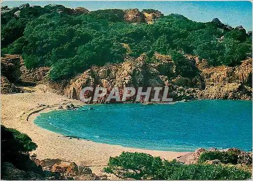 Cartes postales moderne Sardegna Pittoresca Parco di Portobello