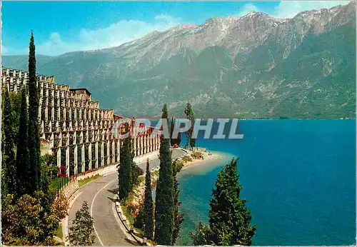 Cartes postales moderne Le lac de Garde Limonaie et Monte Baldo