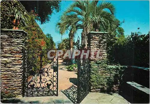 Cartes postales moderne Lago Maggiore Giardini dell Isola Madre