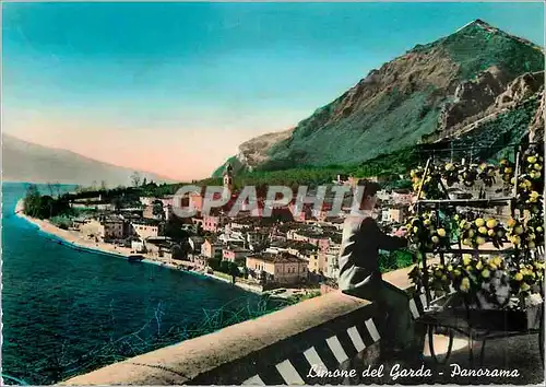 Cartes postales moderne Limone del Garda Panorama