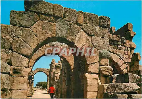 Cartes postales moderne Tindari (Me) Zone Archeologique Basilique