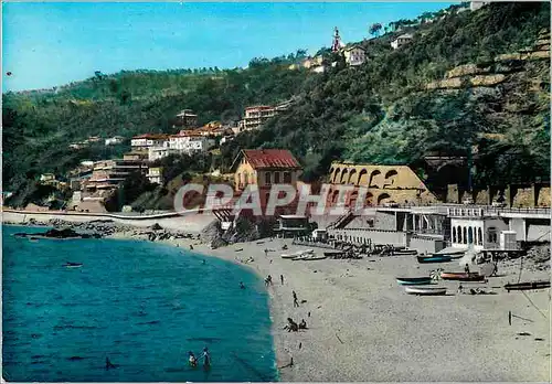 Cartes postales moderne Riviera delle Palme La cote des Palmiers La Plage