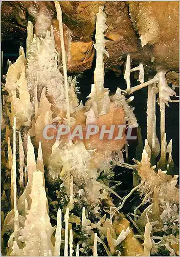 Cartes postales moderne Grotte di Castellana Stalactiles excentriques