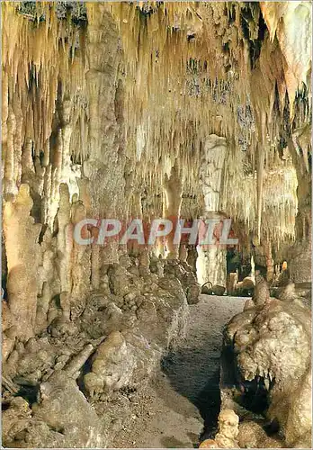 Cartes postales moderne Grotte di Castellana Splendeur silencieuse
