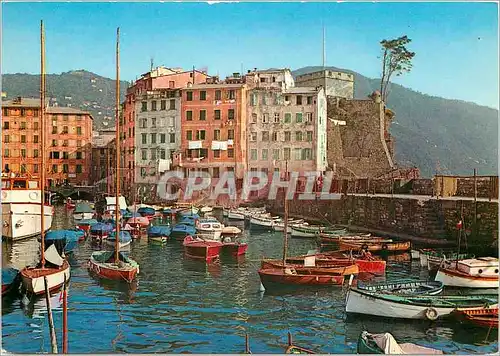 Cartes postales moderne Golfo Paradiso Camogli Il porticciolo