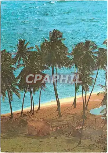 Cartes postales moderne Martinique Sainte-Marie Un coin de plage a l'Anse Azerot