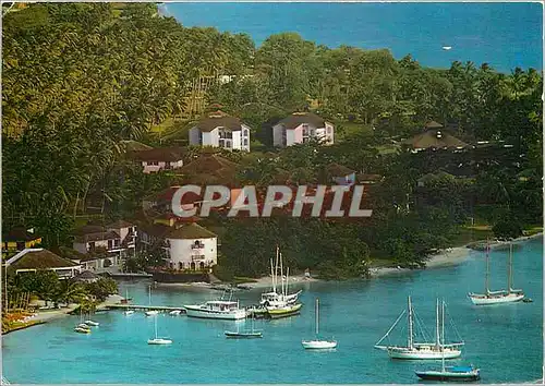 Cartes postales moderne Martinique Sainte-Anne Le Club Mediterranee