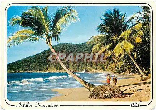 Moderne Karte Martinique Antilles Francaises Plage des Caraibes