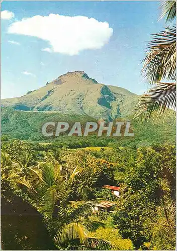Cartes postales moderne Martinique La Montagne Pelee  vue du Morne Rouge