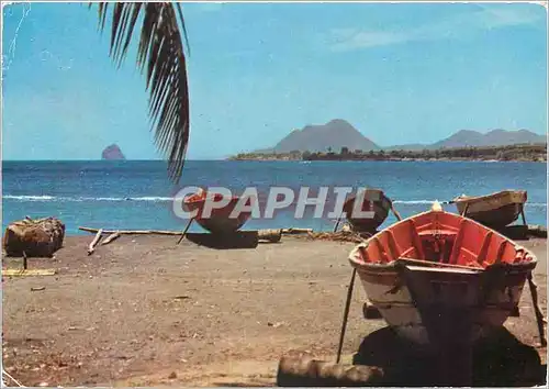 Cartes postales moderne Martinique L'Anse Figuier Barques de peche au fond le Diamant