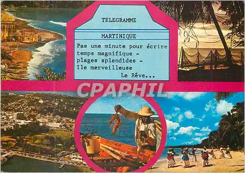 Cartes postales moderne Martinique