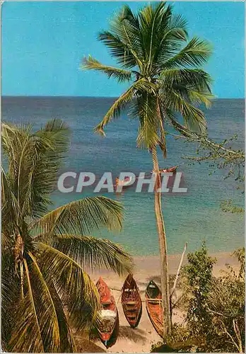 Cartes postales moderne Martinique Anse d'Arlets Promenade en mer a l'Anse Dufour