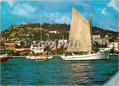Cartes postales moderne Martinique Fort-de-France Vue sur la rade